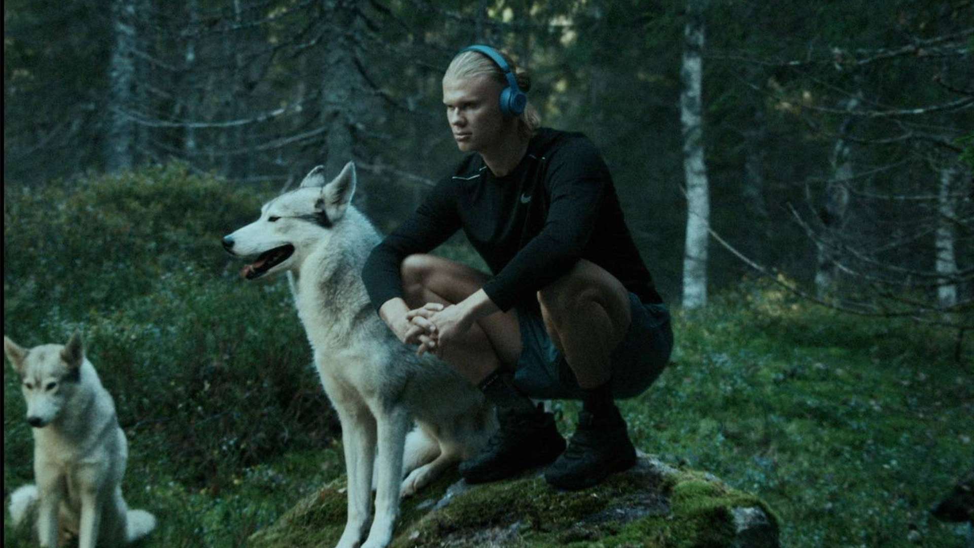 通过对vi 通过对vi