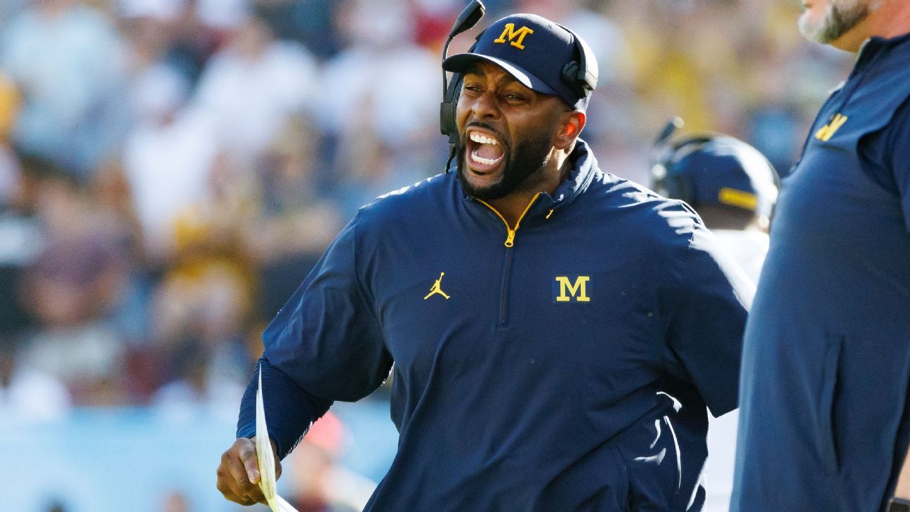 拥有庞大的 拥有庞大的