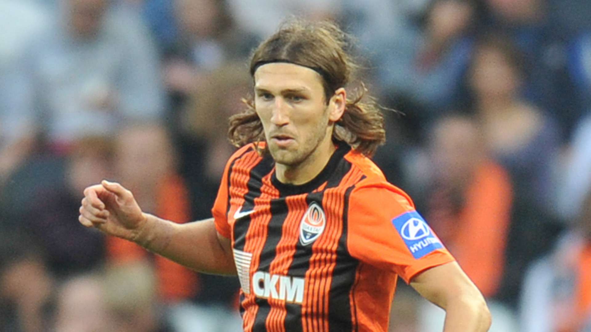 达洛特对此 达洛特对此